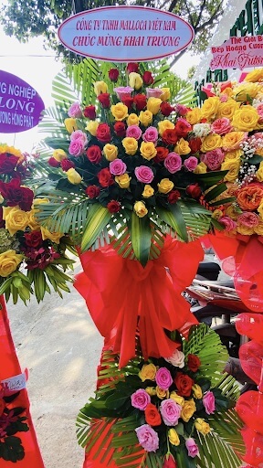 Chào đón Ban lãnh đạo Malloca tới thăm và làm việc tại Điện Máy 369