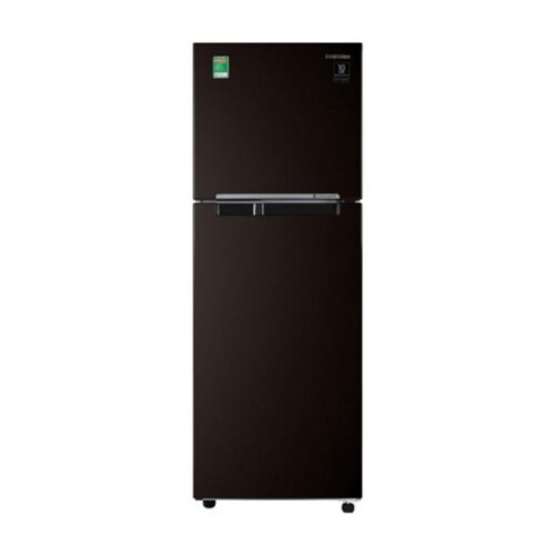 Tủ lạnh Samsung Inverter 236 lít RT22M4032BY/SV